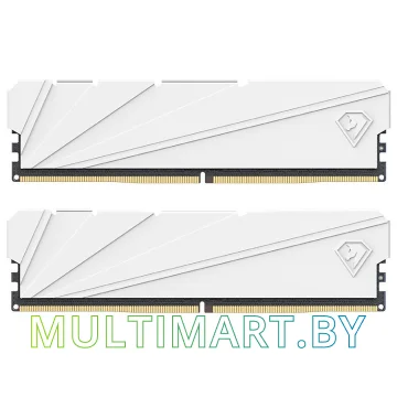Оперативная память Netac Shadow S 2x8GB DDR4 PC4-25600 (NTSSD4P32DP-16W)